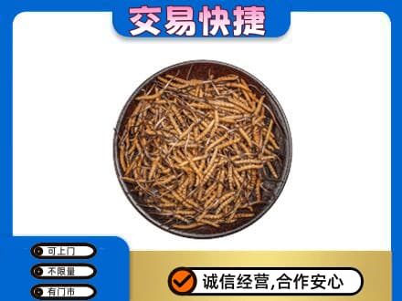 永川区高价回收散虫草